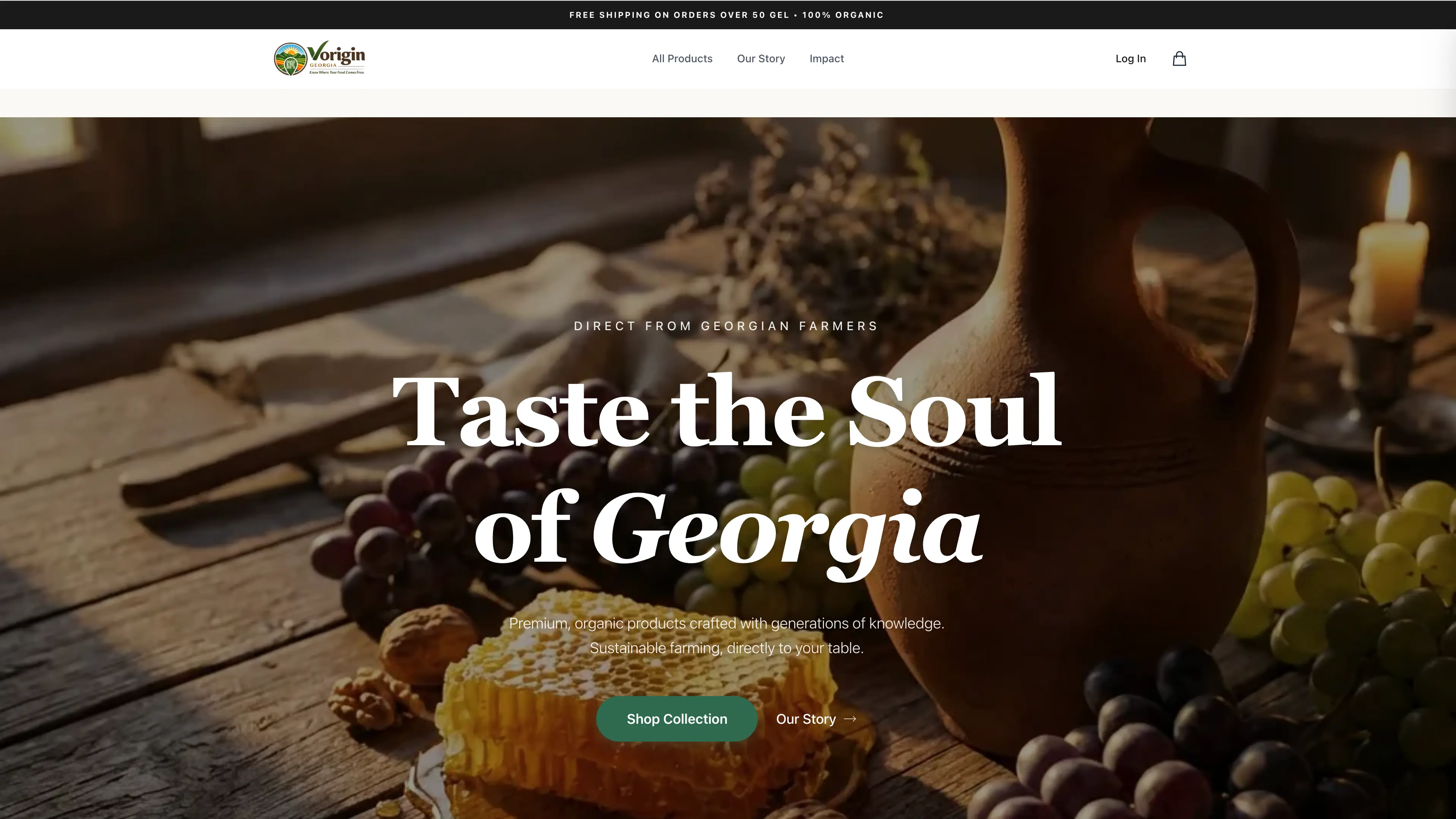 VoriginGeorgia website preview